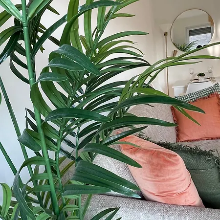 Modernes Und Helles Mini-haus In